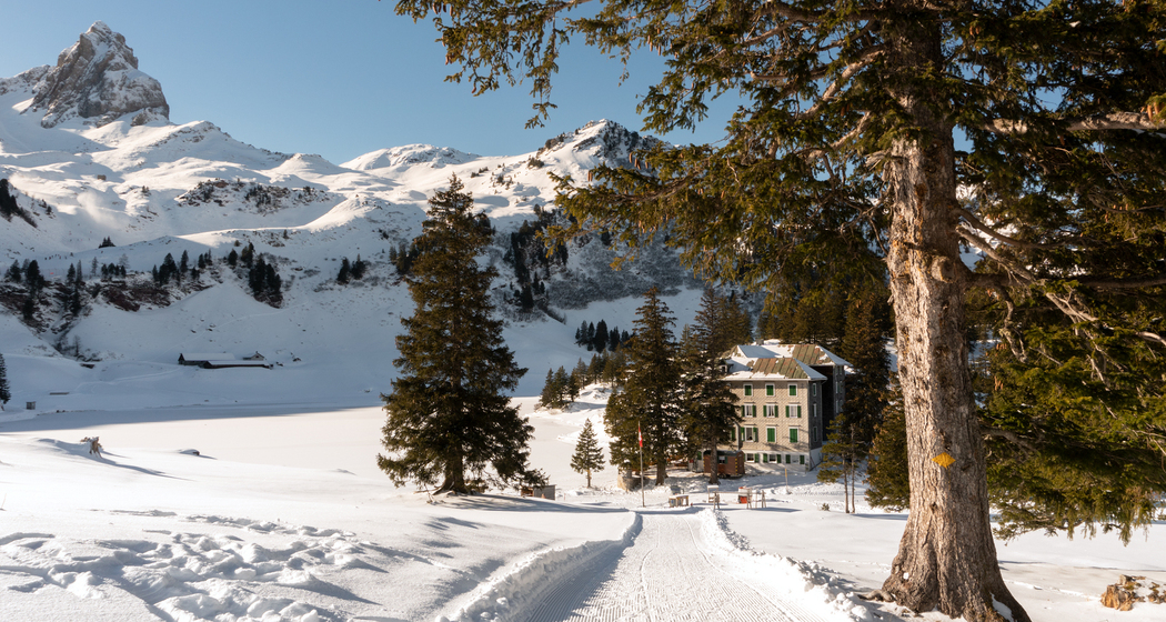 Tannenboden-Seebenalp-Weg (chm_994ae4d_img)