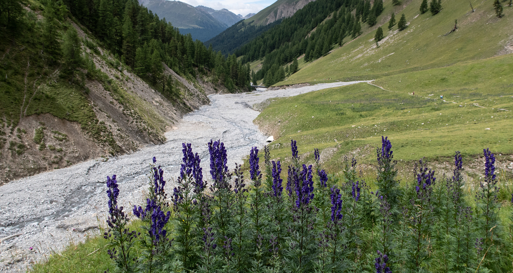 Senda Val Trupchun (chm_9a47d77_img)