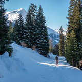 Panell-Schneeschuhtrail (chm_9fa3235_img)