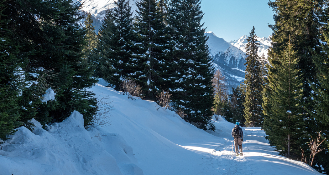 Panell-Schneeschuhtrail (chm_9fa3235_img)