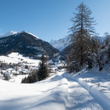 Bergünerstein-Schneeschuhtrail (chm_a1bc6b4_img)