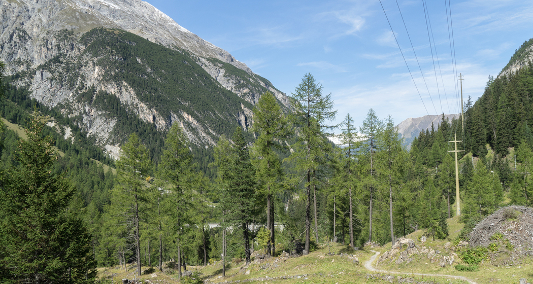 Via Albula/Bernina: Etappe 4 (chm_a33b622_img)