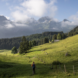 Rheintaler Höhenweg (chm_a54ea27_img)