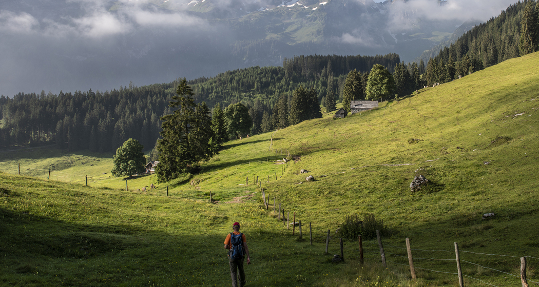 Rheintaler Höhenweg (chm_a54ea27_img)