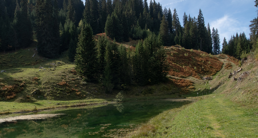 Laus Bike (chm_a9d6cad_img)