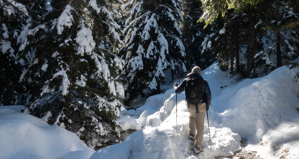 Cavaglia Trail (chm_ab24984_img)
