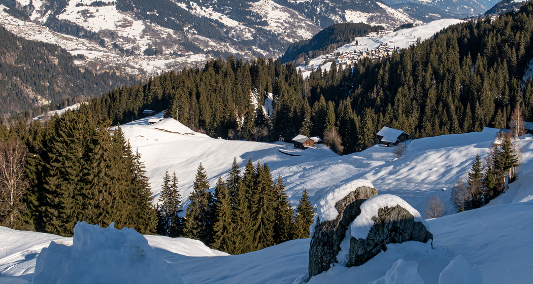 Obersaxer Schneeschuhtrail (chm_ab9be80_img)