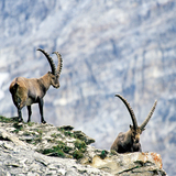 Via Capricorn: Stage 1 (chm_ac21310_img)