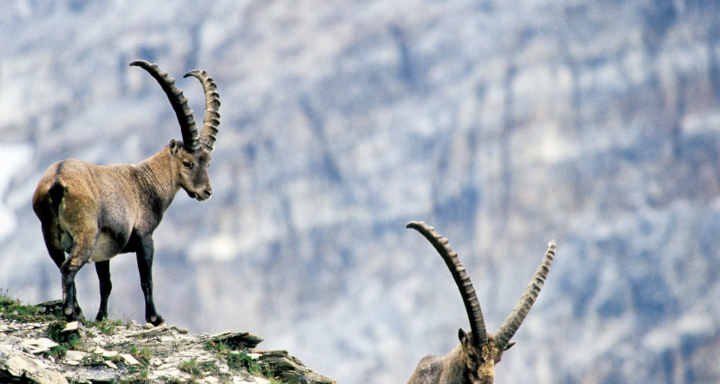 Via Capricorn: Etappe 1 (chm_ac21310_img)