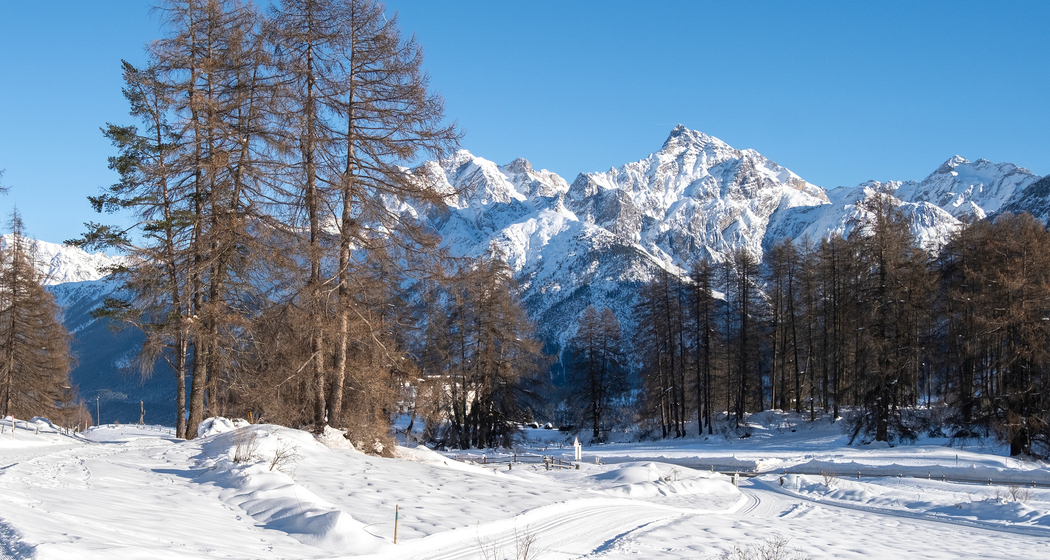 Loipe Hochalpines Institut Ftan (chm_ad22135_img)