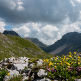 Schiesshorn-Weg (chm_b0bedb9_img)