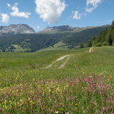 Senda Crap la Tretscha (chm_b641945_img)