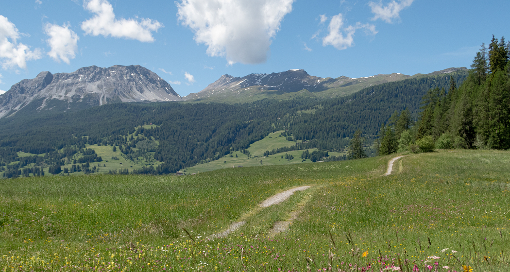 Senda Crap la Tretscha (chm_b641945_img)