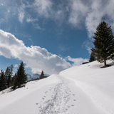 Libi-Winterwanderweg (chm_baa093d_img)