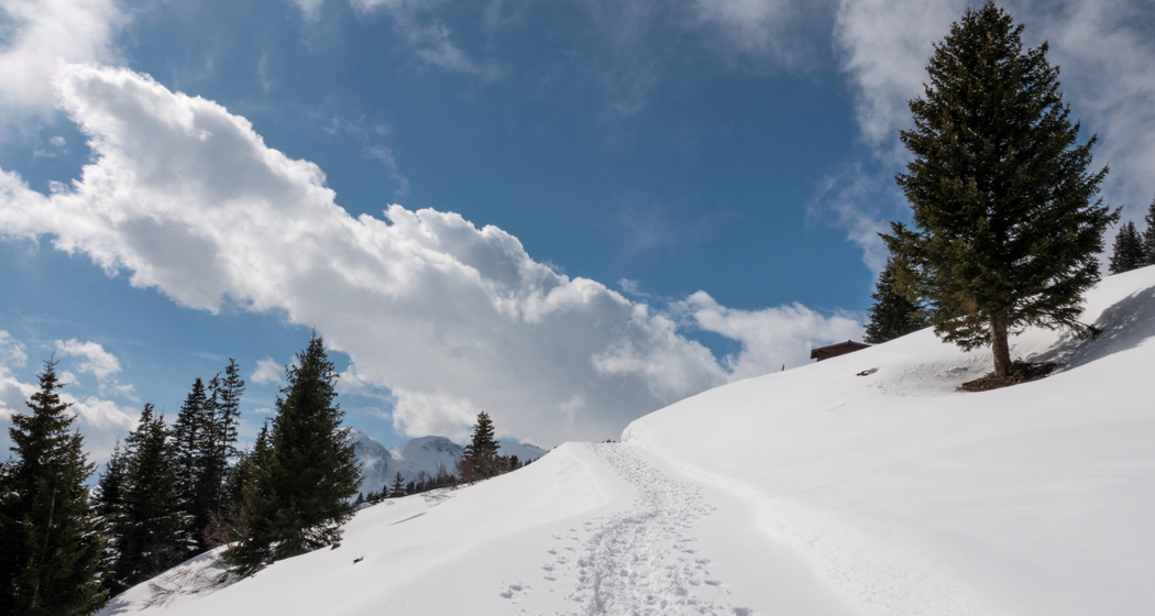 Libi-Winterwanderweg (chm_baa093d_img)