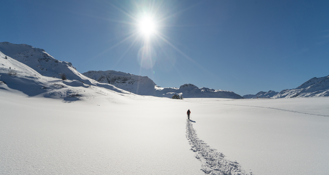 Alp-Flix-Schneeschuhtrail (chm_be7218a_img)