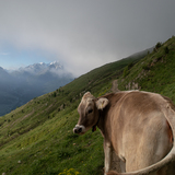 Via Engiadina: Tappa 3 (chm_be8287a_img)