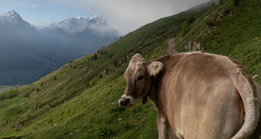 Via Engiadina: Etappe 3 (chm_be8287a_img)