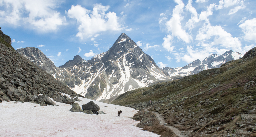Via Albula/Bernina: Etappe 5 (chm_bf06dfb_img)