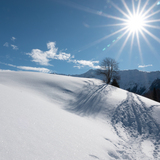 Alpenrösli Trail (chm_bf705eb_img)