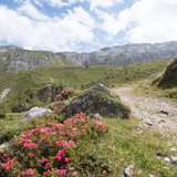 WL_693_03_242_nach_Spunda_Beala_F_M.jpg