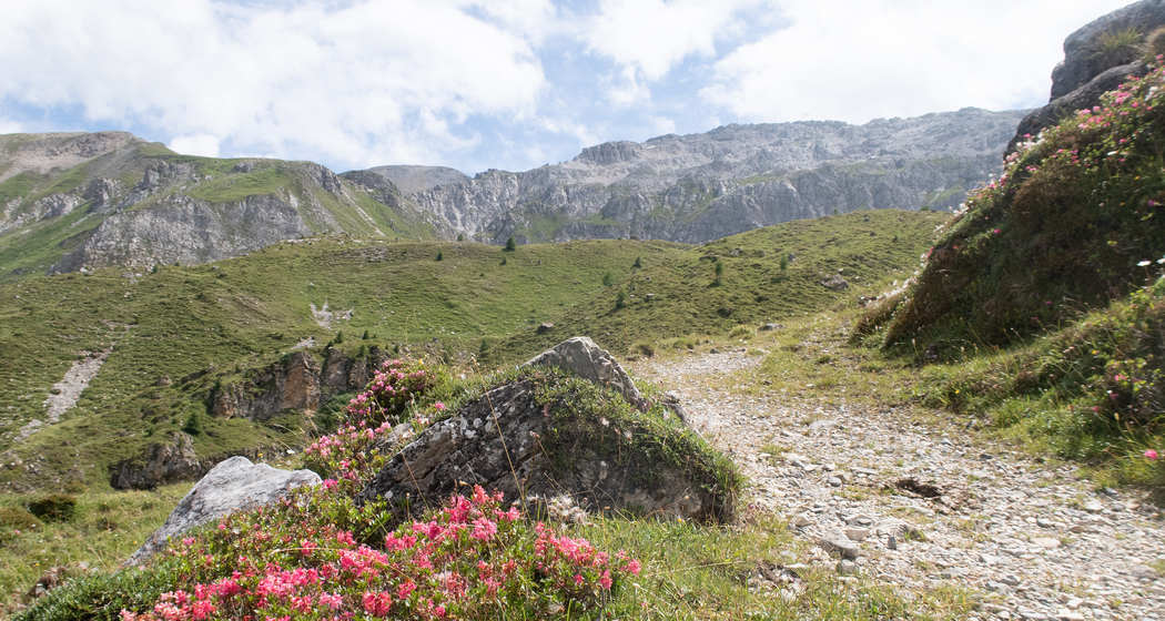 WL_693_03_242_nach_Spunda_Beala_F_M.jpg