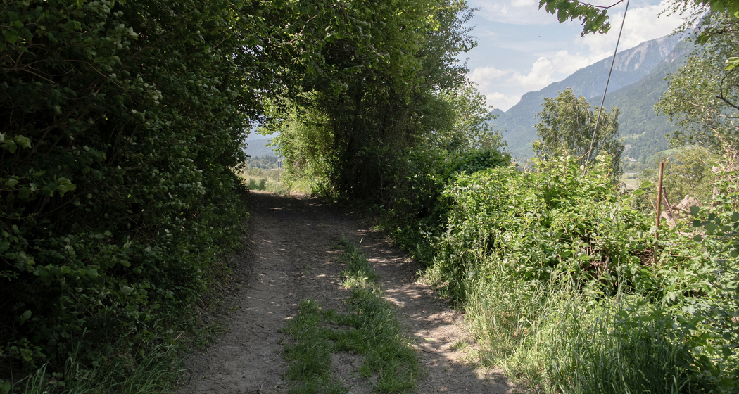 Jakobsweg Graubünden: Etappe 12 (chm_c2f7cc5_img)