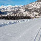 Loipe Castrisch (chm_c34ce25_img)