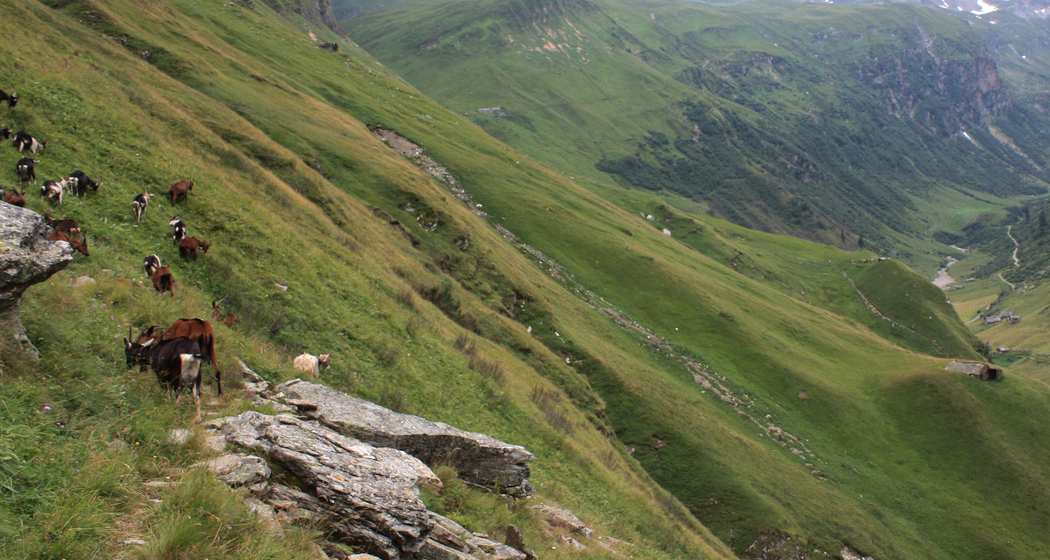 Walserweg: Etappe 2 (chm_c692a6b_img)