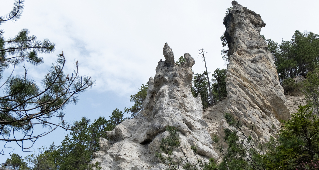 Pfad der Pioniere Parc Ela (chm_ca5bdb0_img)