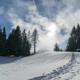Val-Sporz-Schneeschuhtrail (chm_cc379f8_img)