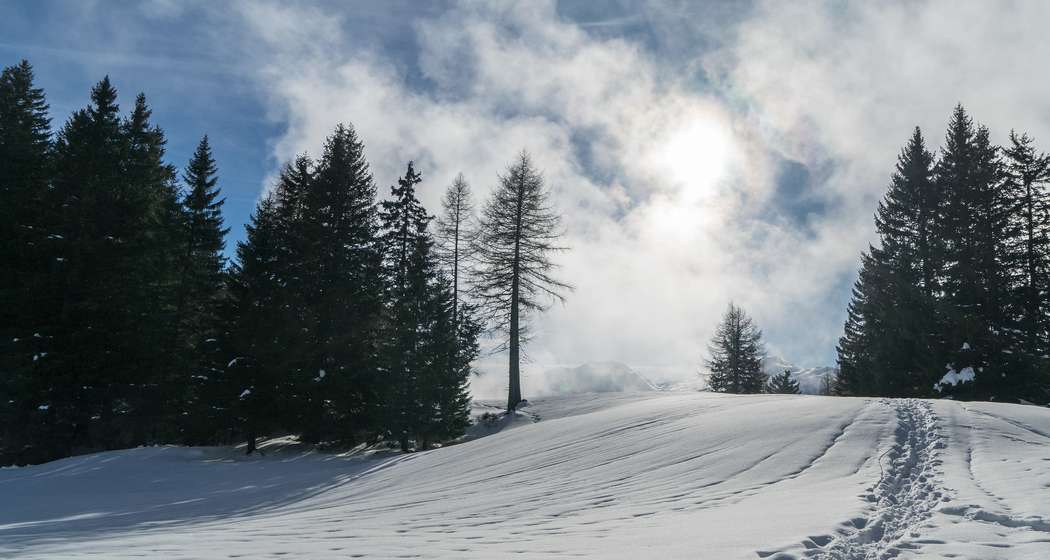 Val-Sporz-Schneeschuhtrail (chm_cc379f8_img)