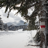 Muttner-Höhi-Weg (chm_ccb1dd1_img)