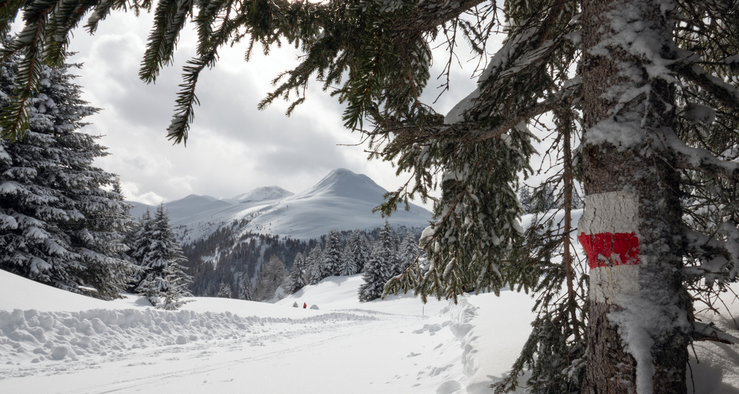 Muttner-Höhi-Weg (chm_ccb1dd1_img)