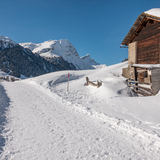 Römerweg Rheinwald (chm_ccefcbe_img)