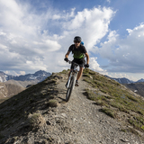 Salaaser Kopf (chm_ceafaf1_img)