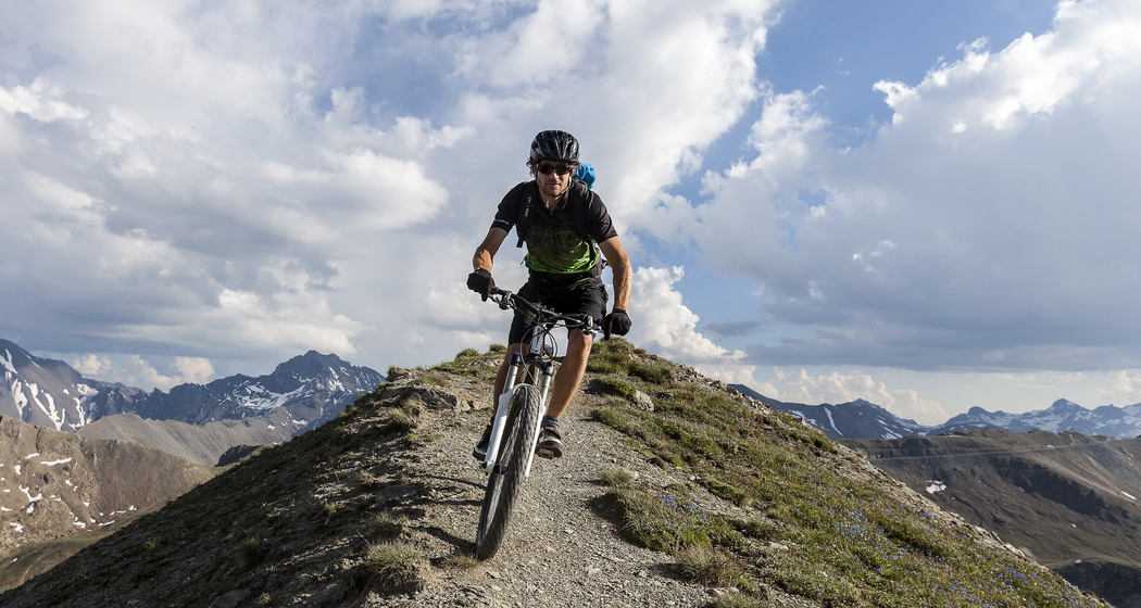 Salaaser Kopf (chm_ceafaf1_img)