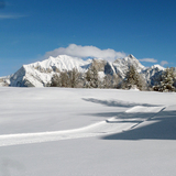 St.-Margrethenberg-Loipe (chm_d09e43d_img)