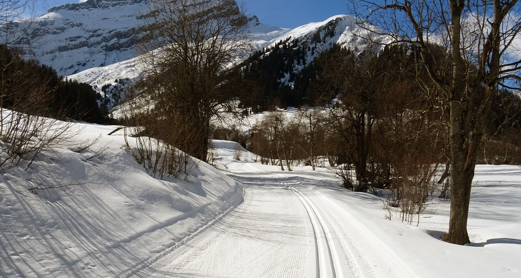 Rheinwald-Talloipe (chm_d1c391d_img)