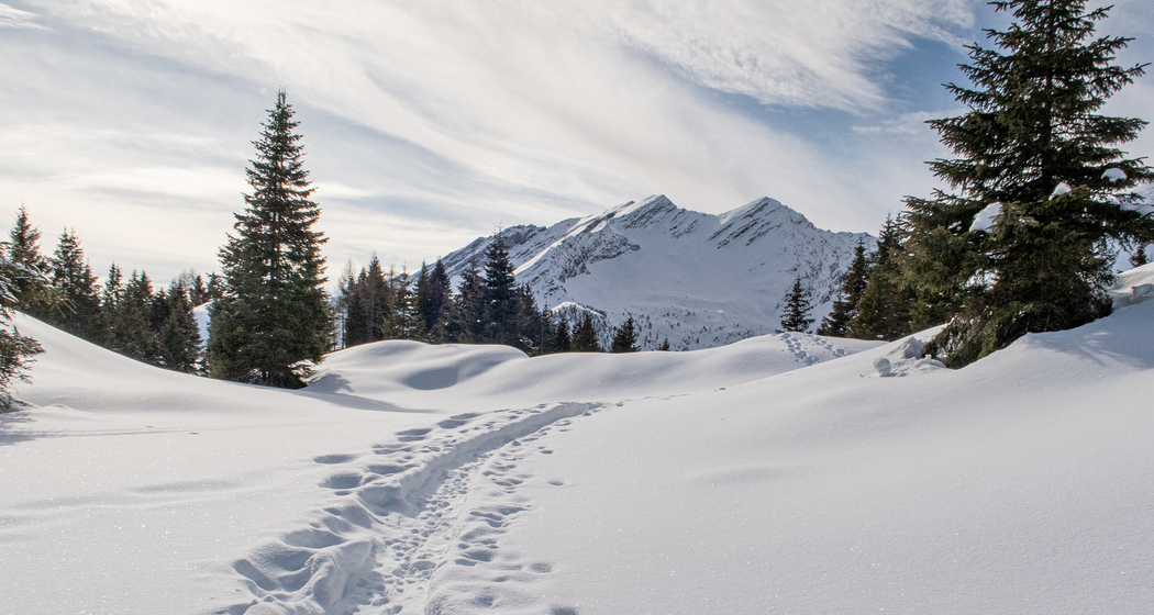 Percorso Furestin (chm_d26be35_img)