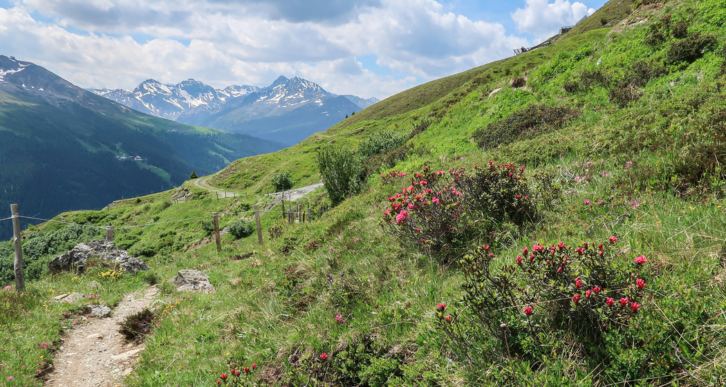 Alpenweg Davos (chm_dbfbb8d_img)