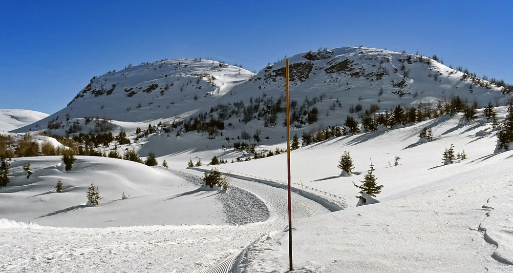 Panoramaweg Feldis (chm_e7dcafc_img)