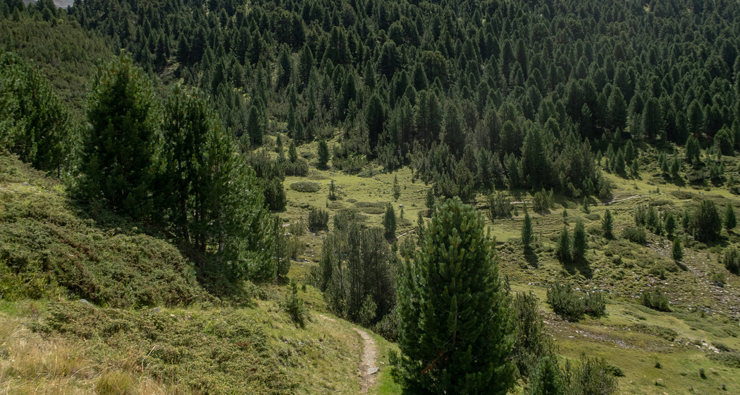 Jakobsweg Graubünden: Etappe 2 (chm_e8a9055_img)