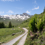 Alp Fursch Bike (chm_ec8937a_img)