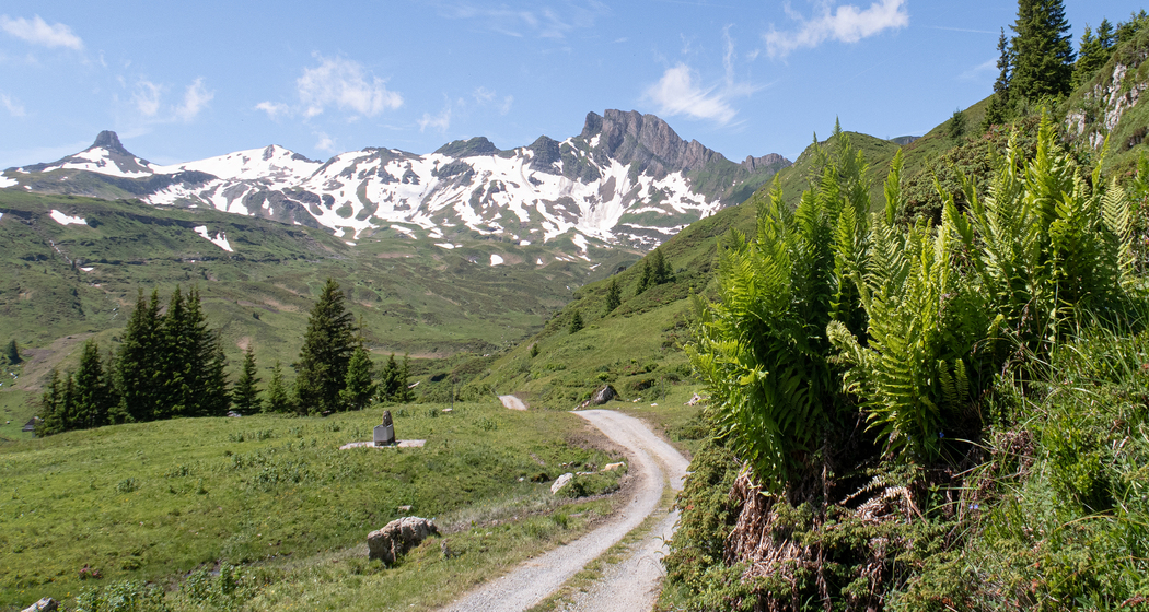 Alp Fursch Bike (chm_ec8937a_img)
