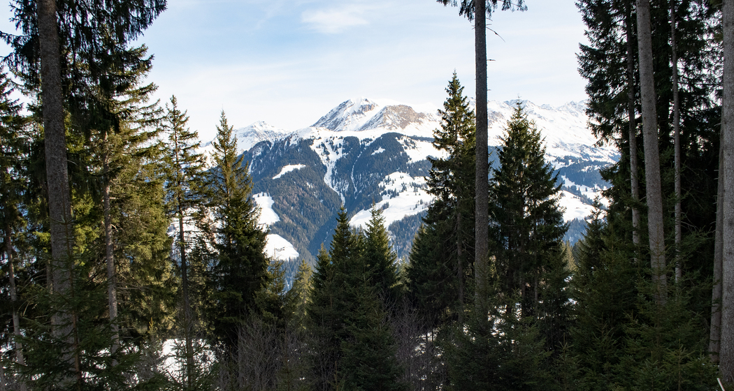 Spundis Trail (chm_ee25c35_img)