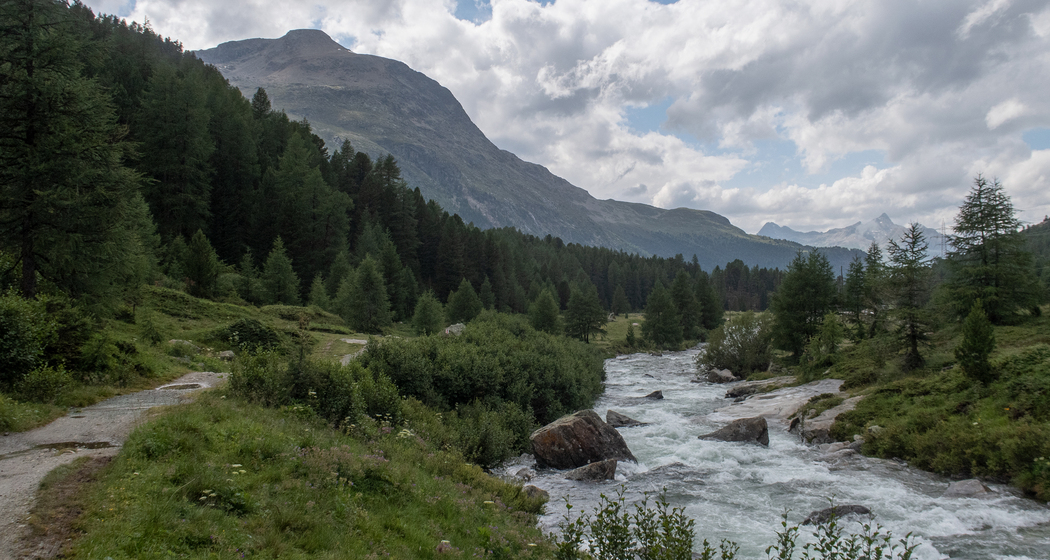 Via Albula/Bernina: Etappe 7 (chm_f241e54_img)