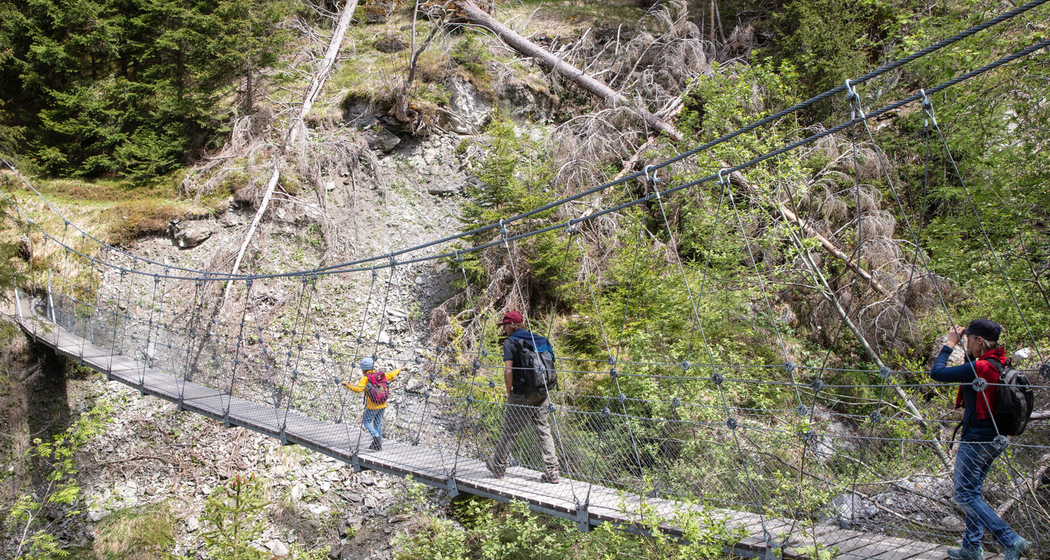 Hängebrückenweg Val Meltger (chm_f688389_img)