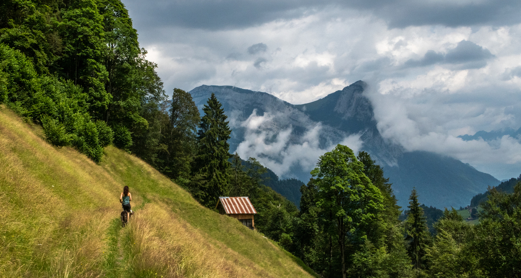 Via Alpina: Etappe 2 (chm_f6ea04a_img)