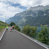 Heidiland Skate (chm_fd0d9bf_img)